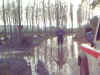 image032.jpg (55338 byte)