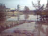 image045.jpg (34697 byte)