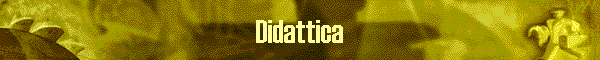 Didattica